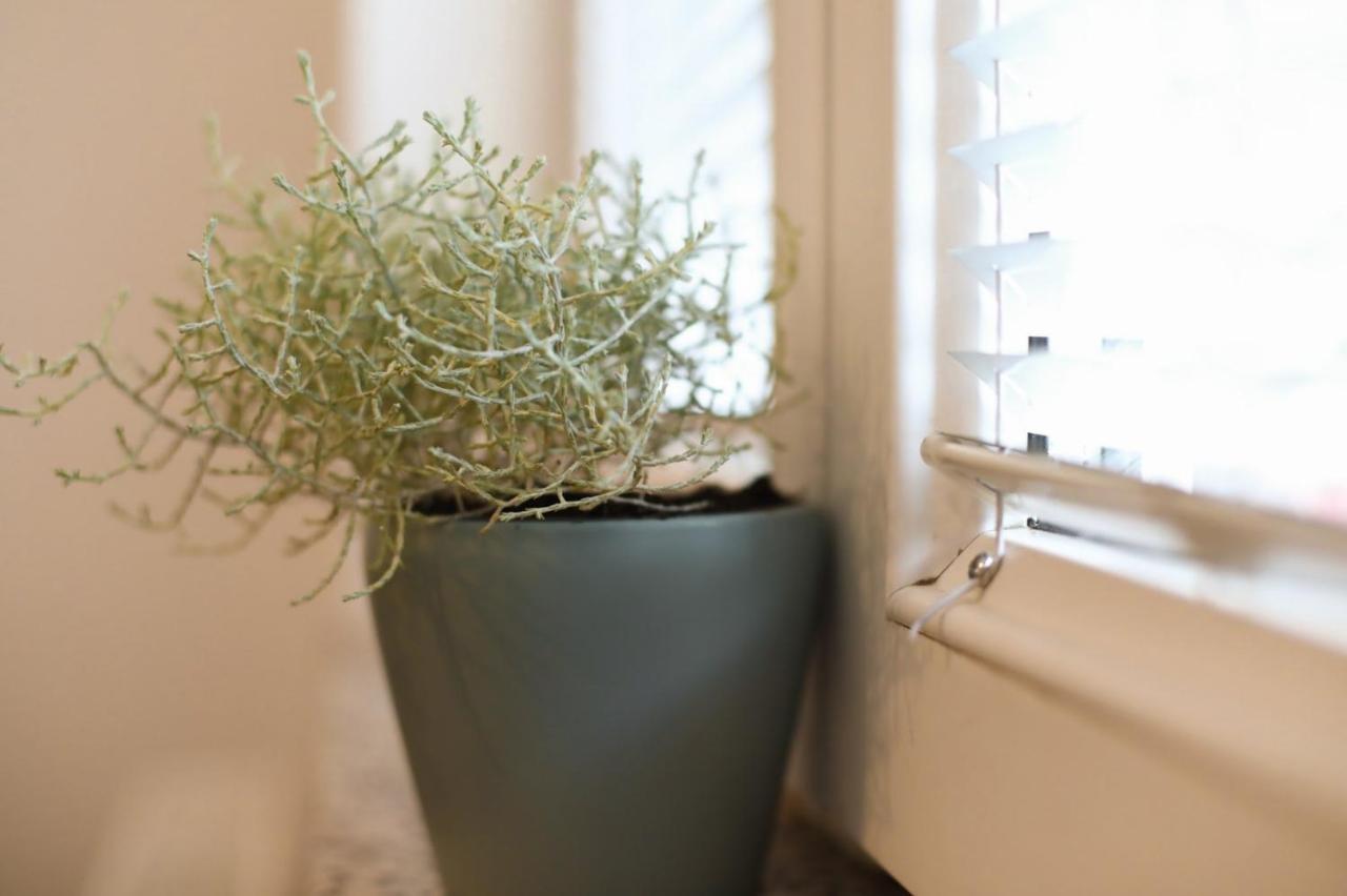 Apartment Igor Lukavica Zewnętrze zdjęcie